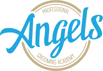 Angels Grooming Academy